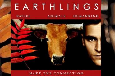 Phim tài liệu: Chúng sinh Địa cầu (Earthlings) - Bộ phim khơi dậy tình yêu muôn loài