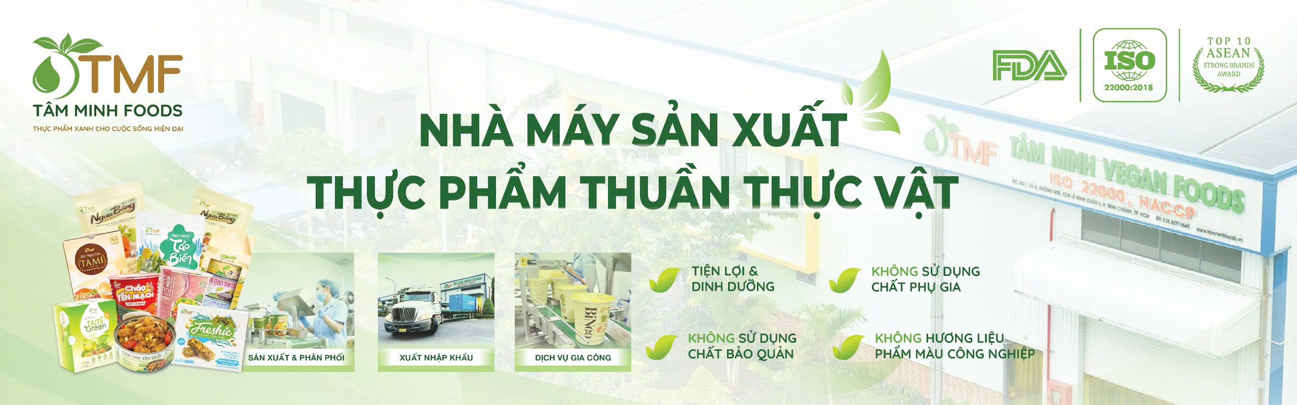 Hoạt động chính